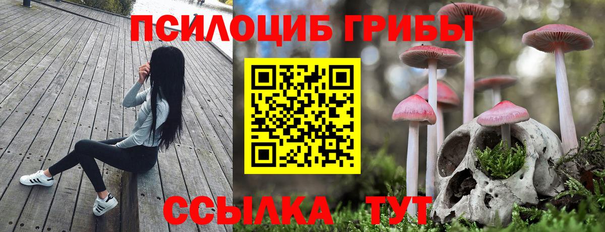 Псилоцибиновые грибы прущие грибы Сланцы