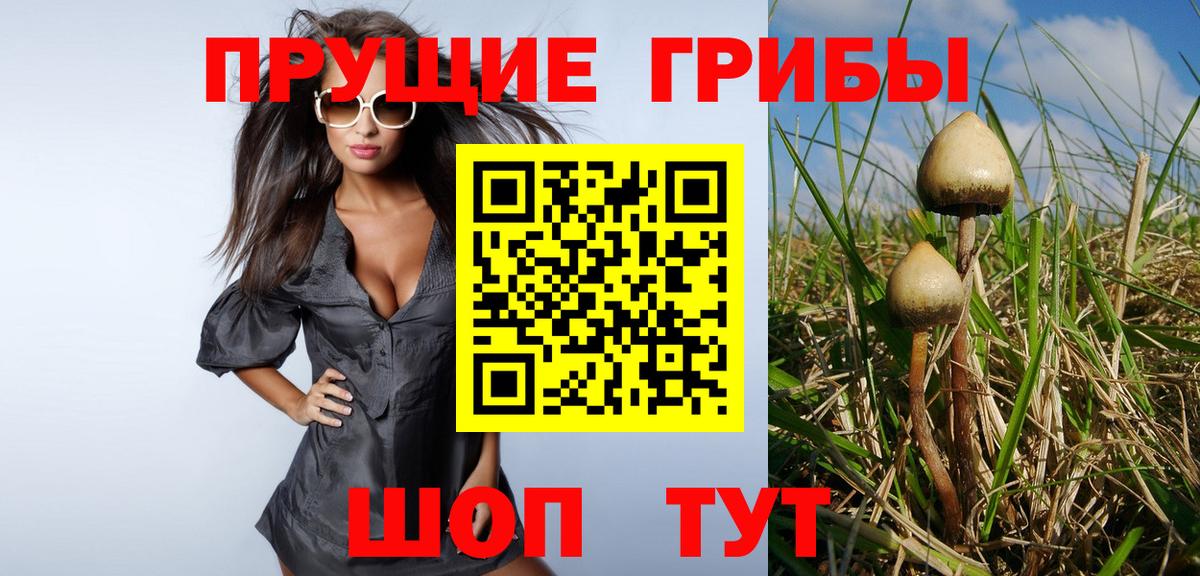 Псилоцибиновые грибы Magic Shrooms  Вход с VPN  Псилоцибиновые грибы Magic Shrooms  как найти   Сланцы 